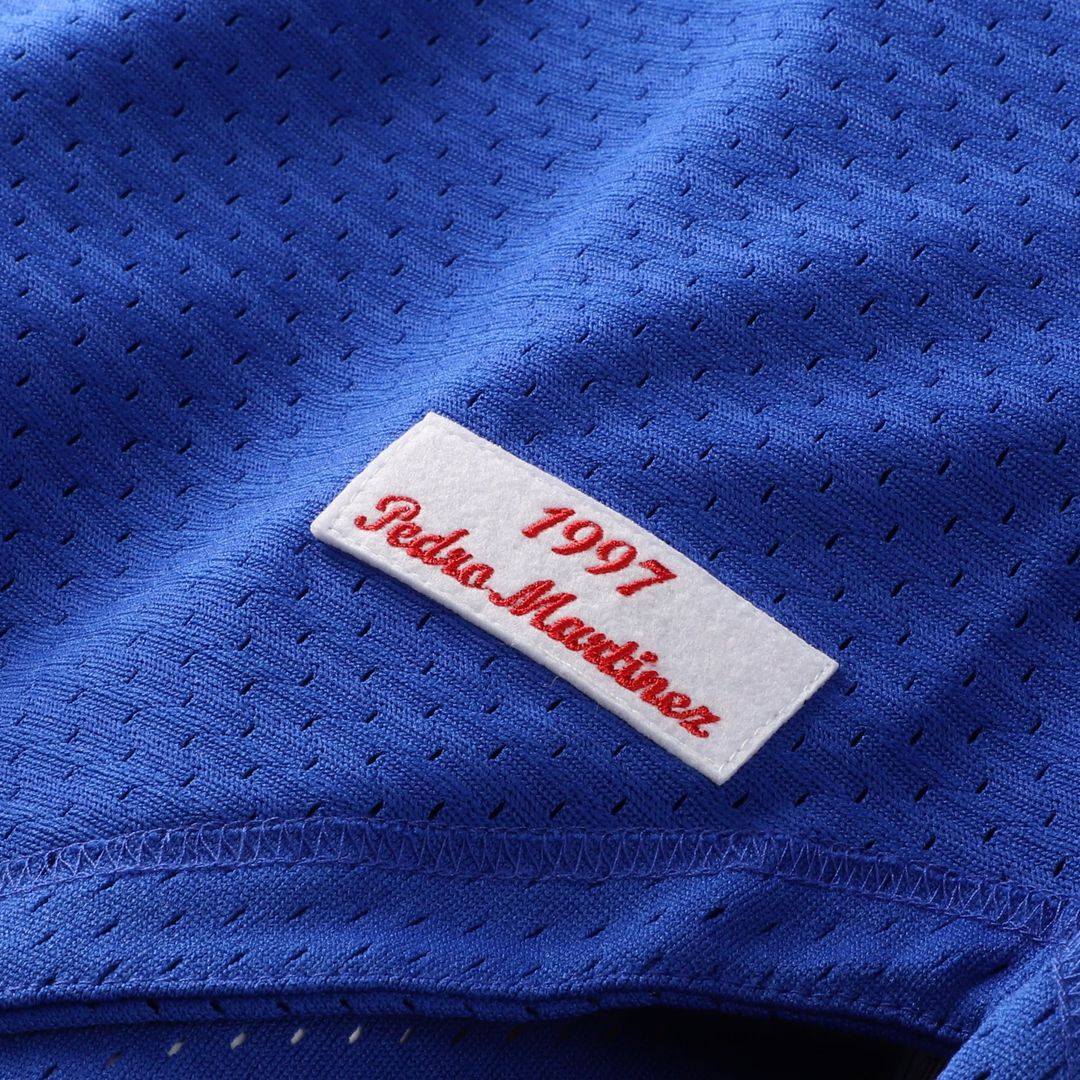 Montreal Expos Pedro Martinez Blue Cooperstown Collection Mesh Batting Practice Button-Up Jersey
