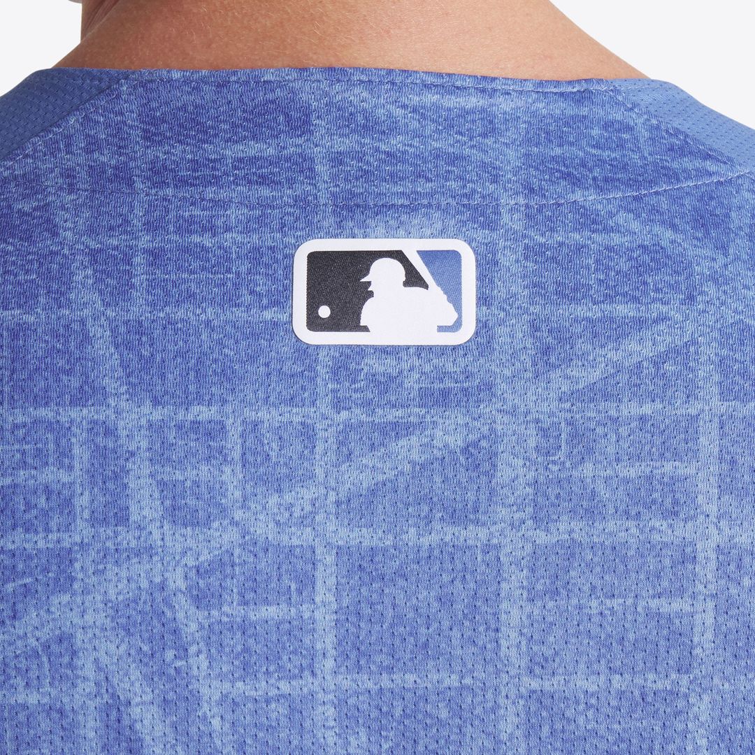 Washington Nationals Blue 2025 City Connect Limited Jersey