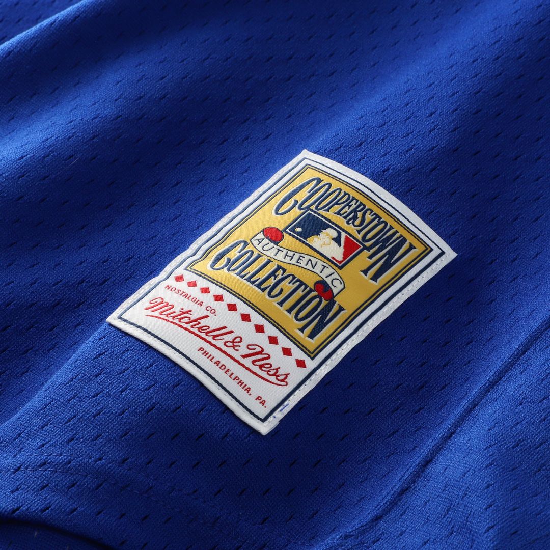 Atlanta Braves Dale Murphy Royal Authentic Batting Practice Jersey